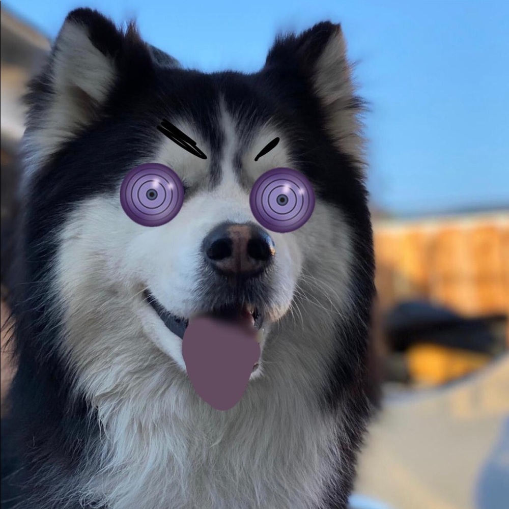 Meet your Posher, Ariel